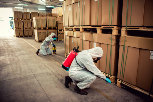 Best Wasp Removal Services  in Pearl River, LA