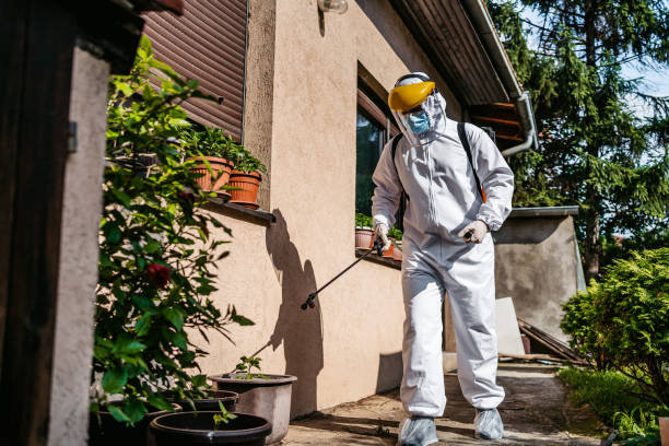 Best Cockroach Control Services  in Pearl River, LA
