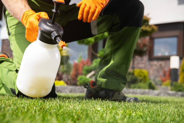 Best Rat Extermination Near Me  in Pearl River, LA