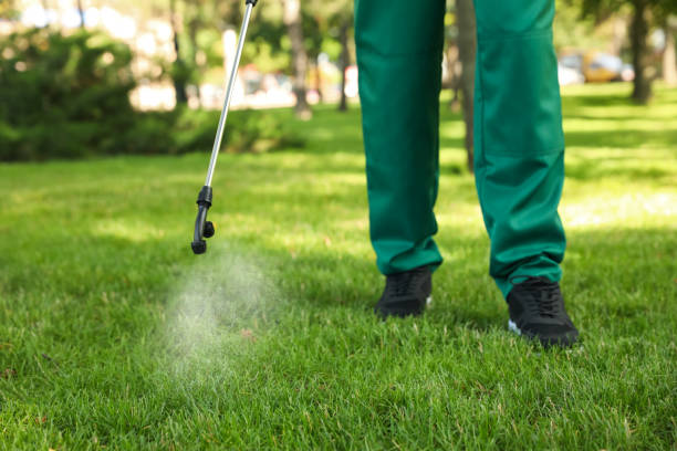 Best Best Pest Control Companies  in Pearl River, LA