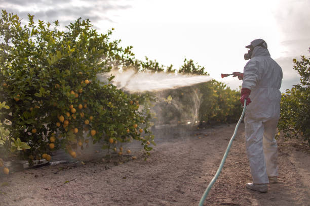Best Mosquito Control Services  in Pearl River, LA