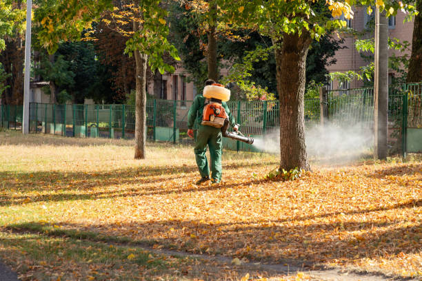 Professional Pest Control in Pearl River, LA