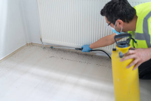 Best Residential Pest Control  in Pearl River, LA