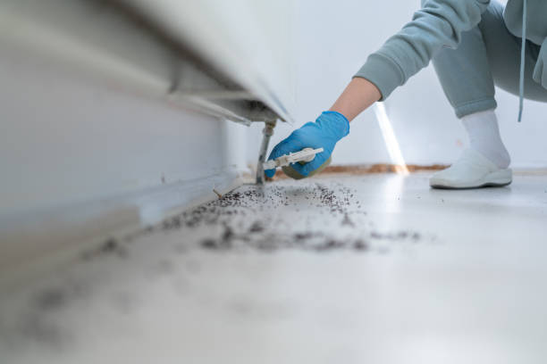 Pest Control Cost in Pearl River, LA