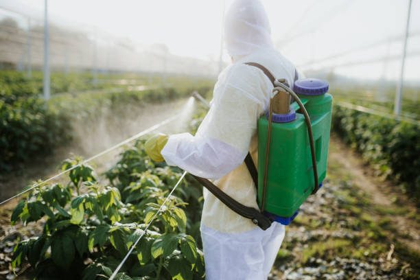  Pearl River, LA Pest Control Pros